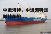 中远海特，中远海特是做什么的