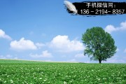 央企信托-重庆合川339