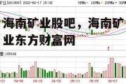 海南矿业股吧，海南矿业东方财富网