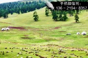 寿光经开鲲鹏号应收账款政府债
