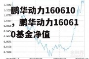 鹏华动力160610，鹏华动力160610基金净值