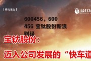 600456，600456 宝钛股份新浪财经