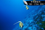 汉中城投2021债权1号，2号政府债