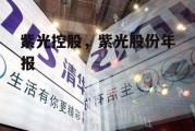 紫光控股，紫光股份年报