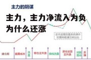 主力，主力净流入为负为什么还涨