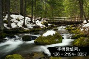 2022山东威海蓝创建投债权