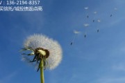 淄博市博山区公有资产经营债权转让