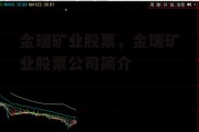 金瑞矿业股票，金瑞矿业股票公司简介