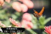 淄博博山公有2022债权资产