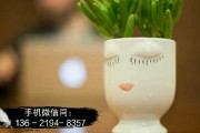 2022山东威海蓝创建投债权