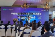 文投控股，文投控股股票