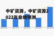 中矿资源，中矿资源2022年业绩预测