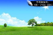2021年潍坊滨城投资开发债权收益权十四期、十六期