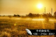 中融信托-聿桐/丰泽‬‬/泽新/睿禧/鸿裔/唐昇/鑫瑞/汇盈1号信托计划‬‬