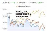 163407，163407基金净值查询今天最新净值 百度