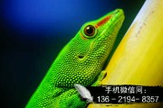 襄城金襄城建投2022年定融