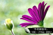 央企信托-121号江苏泰州（私募债）集合资金信托计划