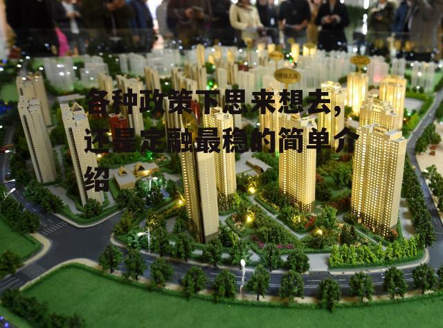 各种政策下思来想去,还是定融最稳的简单介绍