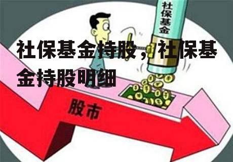 社保基金持股，社保基金持股明细