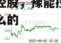 豫能控股，豫能控股是做什么的