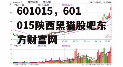 601015，601015陕西黑猫股吧东方财富网