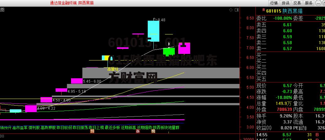 601015，601015陕西黑猫股吧东方财富网