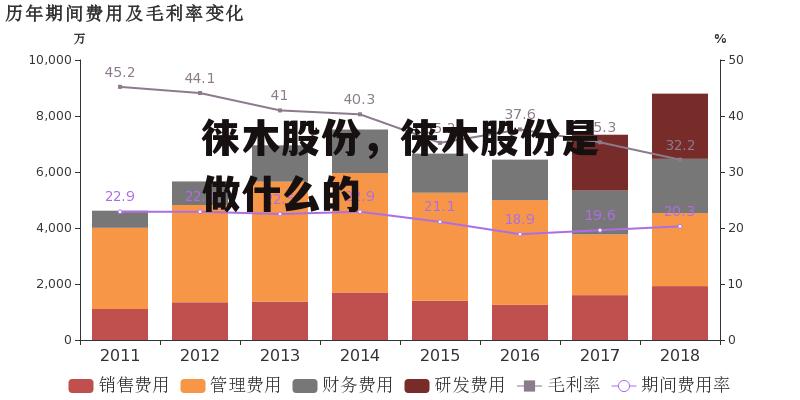 徕木股份，徕木股份是做什么的