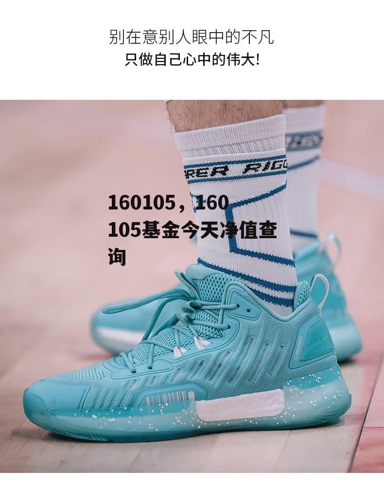 160105，160105基金今天净值查询