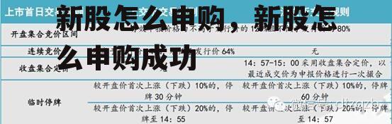 新股怎么申购，新股怎么申购成功