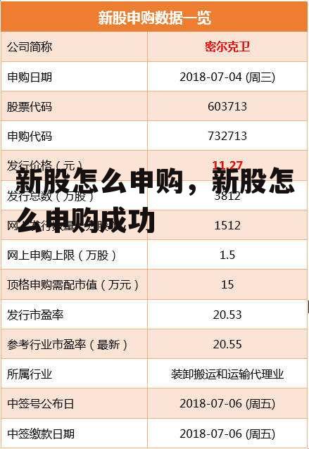 新股怎么申购，新股怎么申购成功