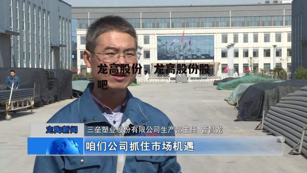 龙高股份，龙高股份股吧