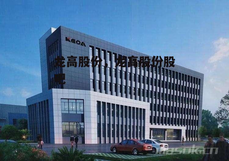 龙高股份，龙高股份股吧
