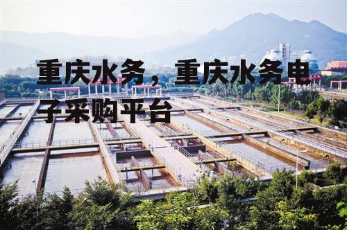 重庆水务，重庆水务电子采购平台