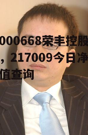 000668荣丰控股，217009今日净值查询