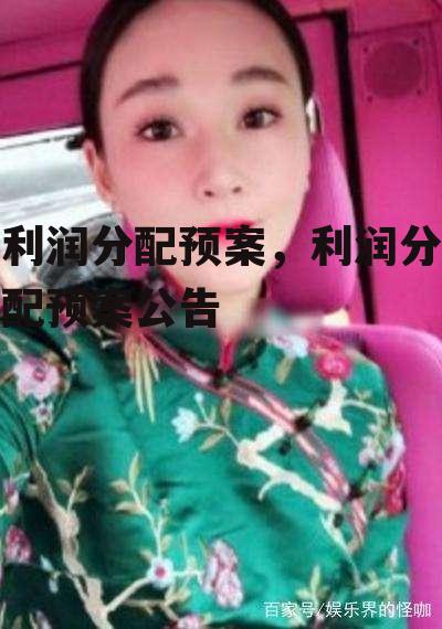 利润分配预案，利润分配预案公告
