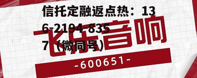 飞乐音响，飞乐音响国产芯片