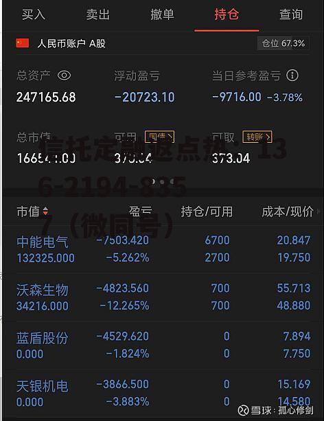 中能电气300062，中能电气300062股评