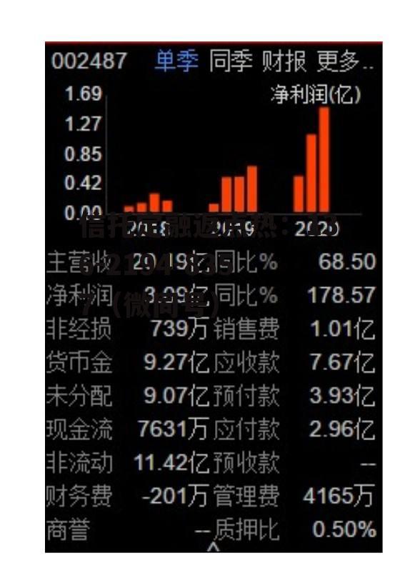 股票002487，股票002487行情