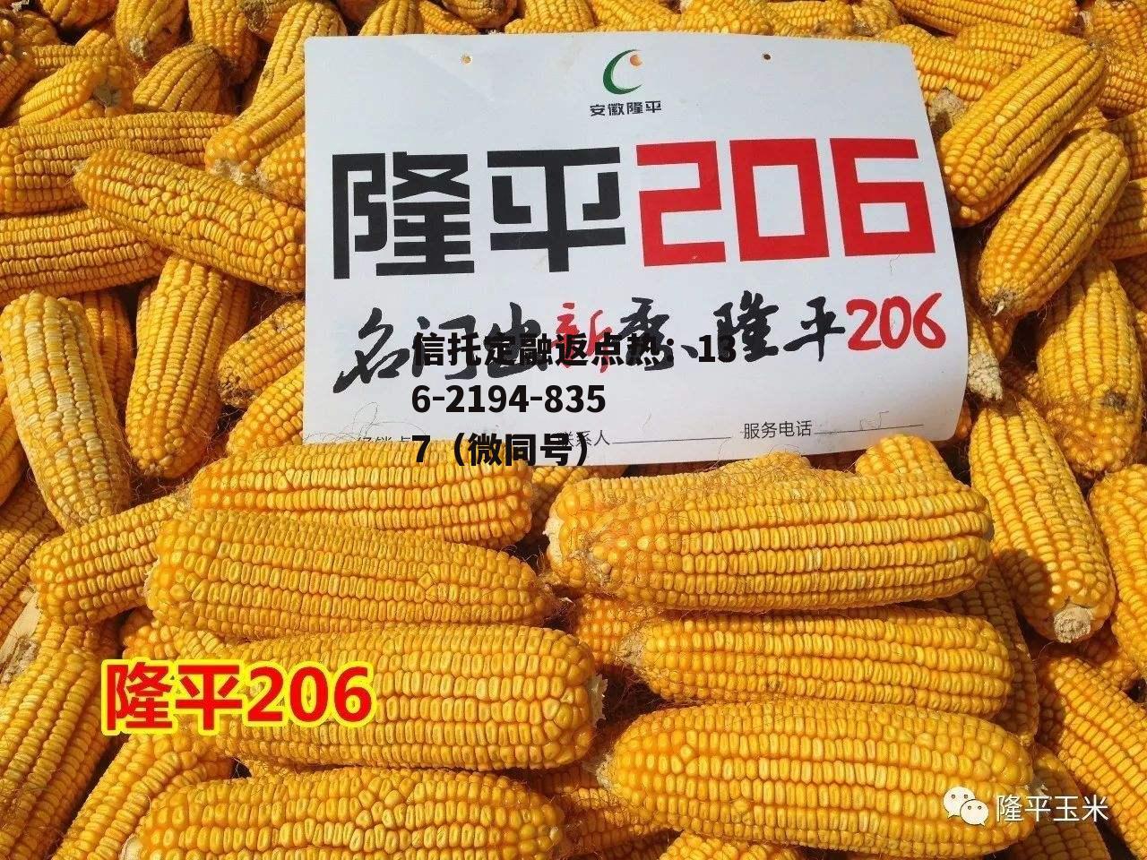 隆平高科，隆平高科技园管委会官网