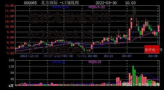 002051中工国际，002051中工国际属于